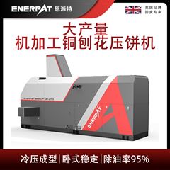 BM-12531恩派特大产量机加工铜刨花压饼机